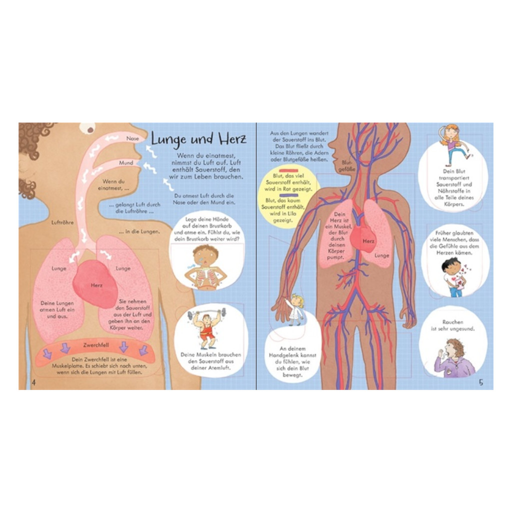 aufklappen-und-entdecken-dein-koerper-innenseite-lunge-und-herz-usborne-vielfalt-diversity-kinderbuch