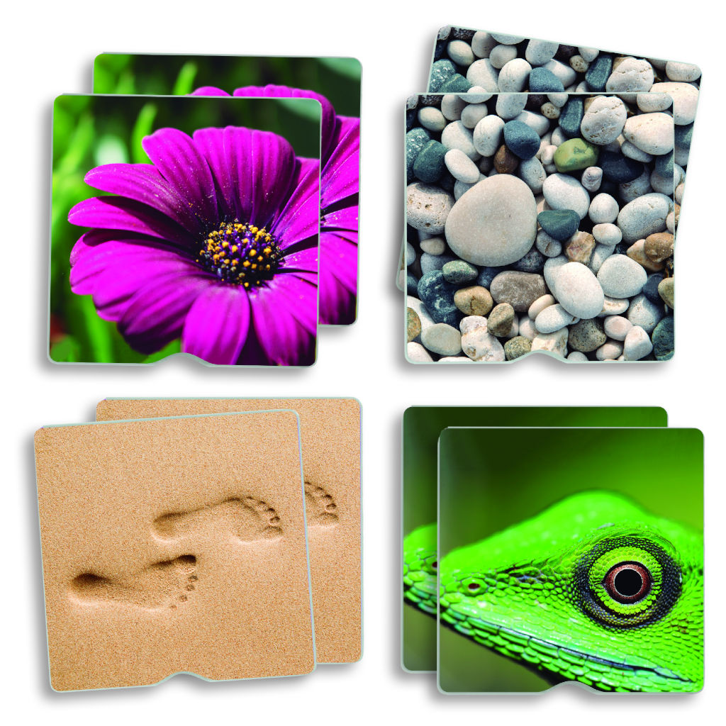 4 Memory Pärchen: Die Kärtchen zeigen: lila Blume, Kieselsteine. Fußspuren im Sand, Gecko